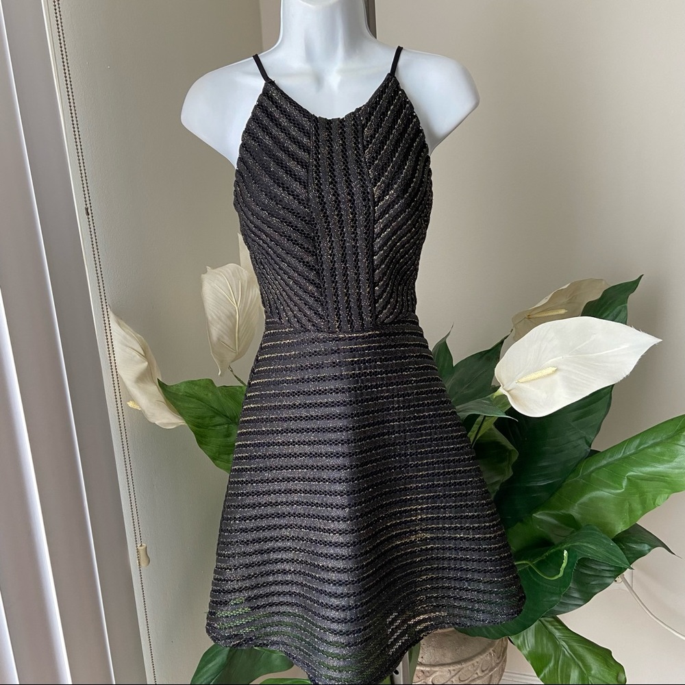 Sienna Sky black gold mesh sparkle skater Style mini dress